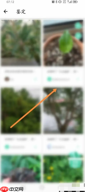 《形色》鉴定植物方法  第2张