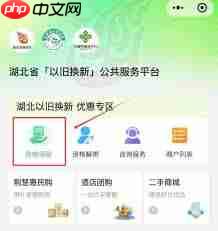 湖北国补领取时间是几点到几点  第2张