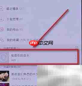 网易云音乐批量下载教程