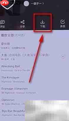 网易云音乐批量下载教程  第2张