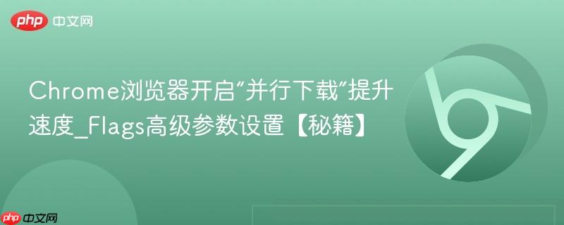Chrome浏览器开启“并行下载”提升速度_Flags高级参数设置【秘籍】  第1张