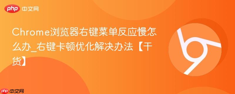 Chrome浏览器右键菜单反应慢怎么办_右键卡顿优化解决办法【干货】  第1张