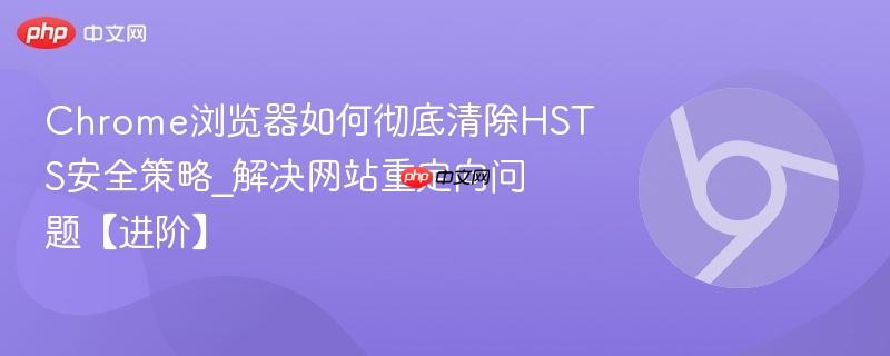 Chrome浏览器如何彻底清除HSTS安全策略_解决网站重定向问题【进阶】  第1张