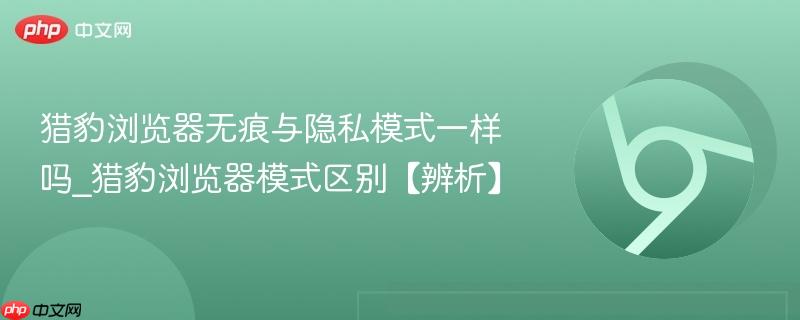 猎豹浏览器无痕与隐私模式一样吗_猎豹浏览器模式区别【辨析】 第1张 猎豹浏览器无痕与隐私模式一样吗_猎豹浏览器模式区别【辨析】 第1张