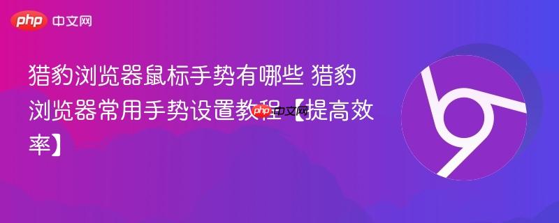 猎豹浏览器鼠标手势有哪些 猎豹浏览器常用手势设置教程【提高效率】 第1张 猎豹浏览器鼠标手势有哪些 猎豹浏览器常用手势设置教程【提高效率】 第1张