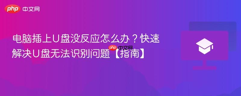 电脑插上U盘没反应怎么办？快速解决U盘无法识别问题【指南】  第1张