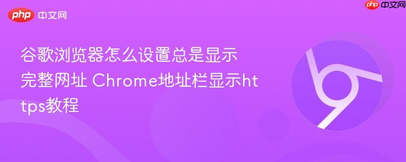 谷歌浏览器怎么设置总是显示完整网址 Chrome地址栏显示https教程  第1张
