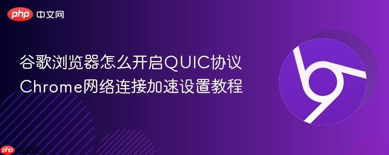 谷歌浏览器怎么开启QUIC协议 Chrome网络连接加速设置教程  第1张