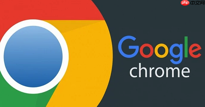 google浏览器插件应用扩展_谷歌Chrome浏览器应用扩展管理  第1张