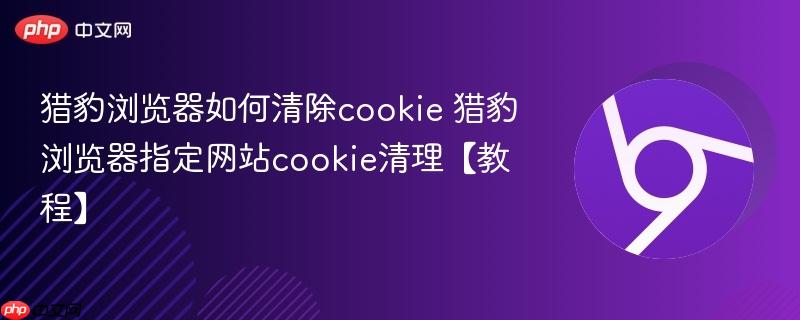 猎豹浏览器如何清除cookie 猎豹浏览器指定网站cookie清理【教程】 第1张 猎豹浏览器如何清除cookie 猎豹浏览器指定网站cookie清理【教程】 第1张