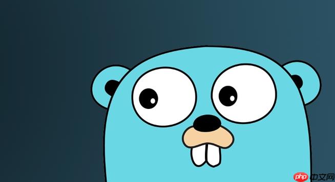 如何在Golang中操作文件权限_Golang os Chmod与Stat方法实践 第1张 如何在Golang中操作文件权限_Golang os Chmod与Stat方法实践 第1张