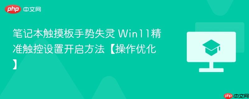 笔记本触摸板手势失灵 Win11精准触控设置开启方法【操作优化】  第1张