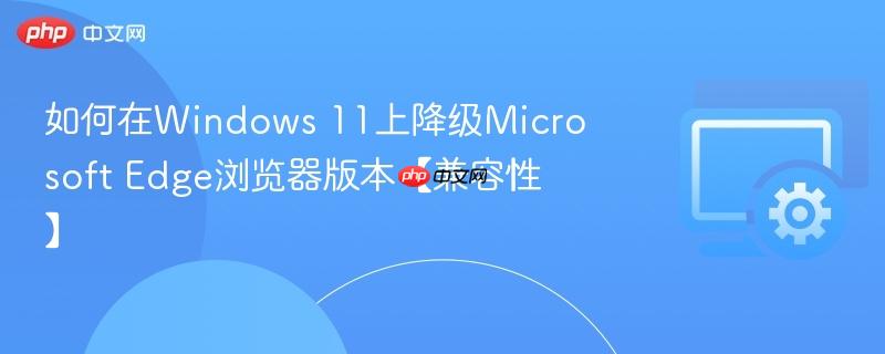 如何在Windows 11上降级Microsoft Edge浏览器版本【兼容性】  第1张