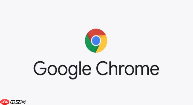 google浏览器扩展插件推荐_谷歌Chrome浏览器最佳扩展插件  第1张