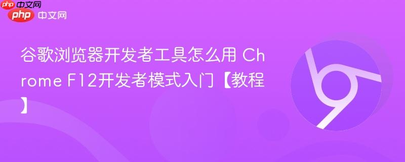 谷歌浏览器开发者工具怎么用 Chrome F12开发者模式入门【教程】 第1张 谷歌浏览器开发者工具怎么用 Chrome F12开发者模式入门【教程】 第1张