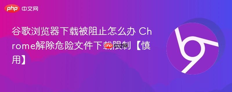 谷歌浏览器下载被阻止怎么办 Chrome解除危险文件下载限制【慎用】  第1张