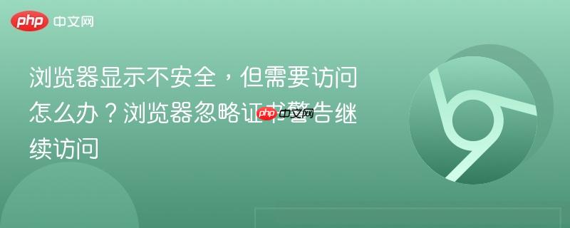 浏览器显示不安全，但需要访问怎么办？浏览器忽略证书警告继续访问  第1张