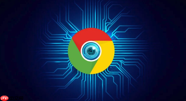 谷歌浏览器拓展功能怎么安装_谷歌Chrome扩展程序安装使用教程  第1张