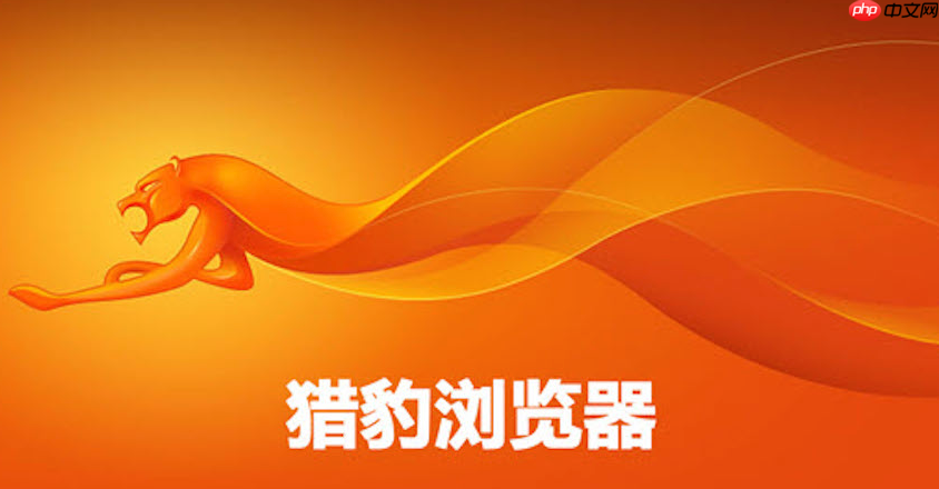 猎豹浏览器2026最新版官网 猎豹浏览器PC版官方登录入口  第1张