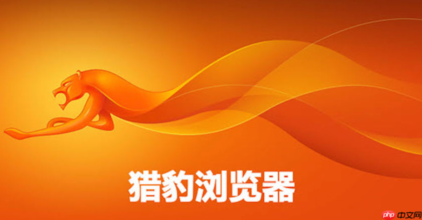 猎豹浏览器网址最新发布 猎豹浏览器在线入口直达  第1张