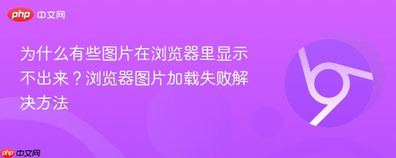 为什么有些图片在浏览器里显示不出来?浏览器图片加载失败解决方法 第1张 为什么有些图片在浏览器里显示不出来?浏览器图片加载失败解决方法 第1张