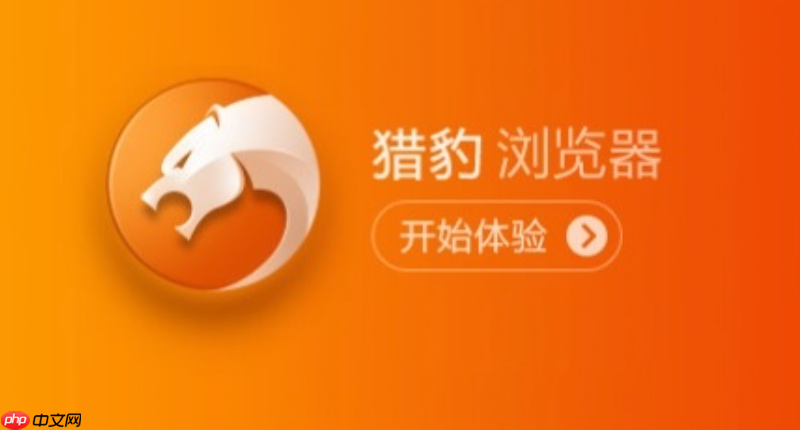 猎豹浏览器直接打开官网 猎豹浏览器网页进入版链接  第1张