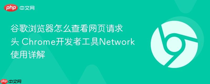 谷歌浏览器怎么查看网页请求头 Chrome开发者工具Network使用详解  第1张