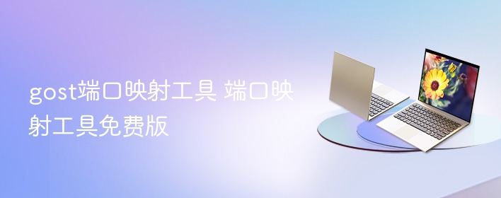 gost端口映射工具 端口映射工具免费版  第1张