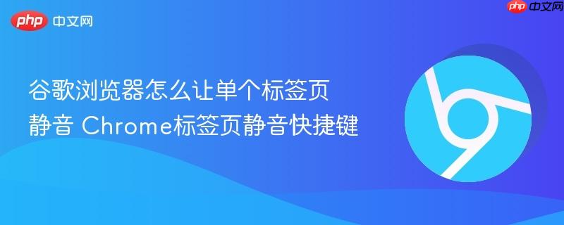 谷歌浏览器怎么让单个标签页静音 Chrome标签页静音快捷键  第1张