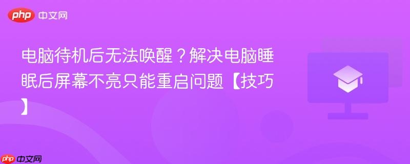 电脑待机后无法唤醒？解决电脑睡眠后屏幕不亮只能重启问题【技巧】  第1张
