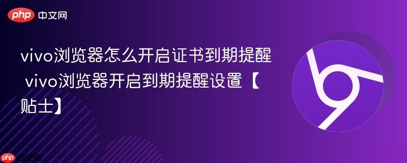 vivo浏览器怎么开启证书到期提醒 vivo浏览器开启到期提醒设置【贴士】 第1张 vivo浏览器怎么开启证书到期提醒 vivo浏览器开启到期提醒设置【贴士】 第1张