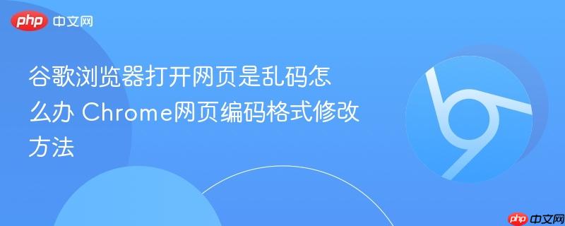 谷歌浏览器打开网页是乱码怎么办 Chrome网页编码格式修改方法  第1张