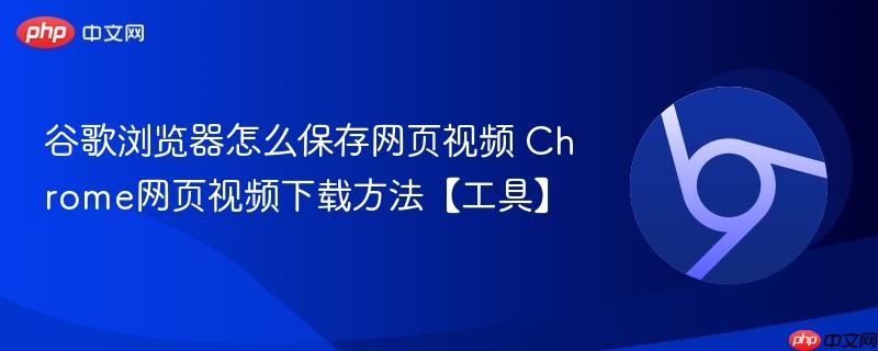谷歌浏览器怎么保存网页视频 Chrome网页视频下载方法【工具】  第1张
