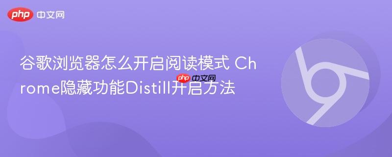 谷歌浏览器怎么开启阅读模式 Chrome隐藏功能Distill开启方法 第1张 谷歌浏览器怎么开启阅读模式 Chrome隐藏功能Distill开启方法 第1张