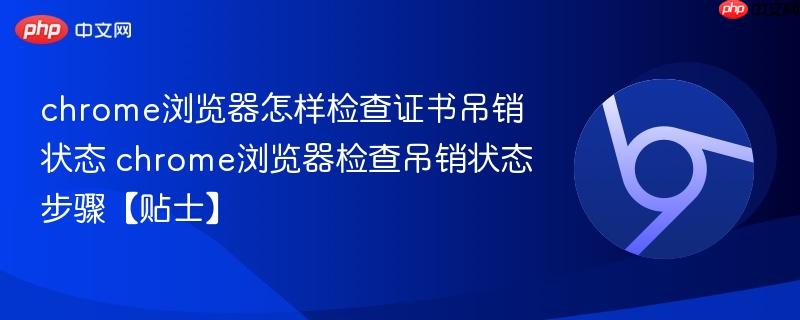 chrome浏览器怎样检查证书吊销状态 chrome浏览器检查吊销状态步骤【贴士】  第1张