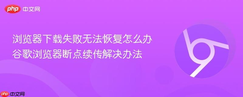 浏览器下载失败无法恢复怎么办 谷歌浏览器断点续传解决办法  第1张