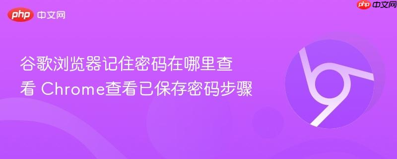 谷歌浏览器记住密码在哪里查看 Chrome查看已保存密码步骤  第1张