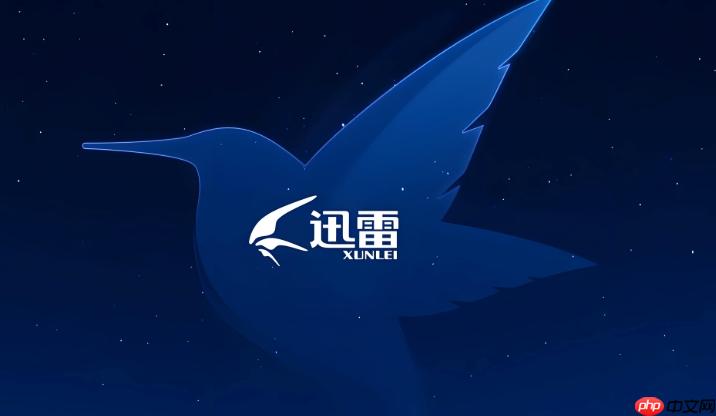 迅雷浏览器一键进入网页版 迅雷浏览器在线使用官方平台 第1张 迅雷浏览器一键进入网页版 迅雷浏览器在线使用官方平台 第1张