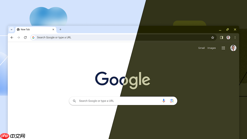 谷歌浏览器加扩展程序_谷歌Chrome浏览器从商店添加扩展方法