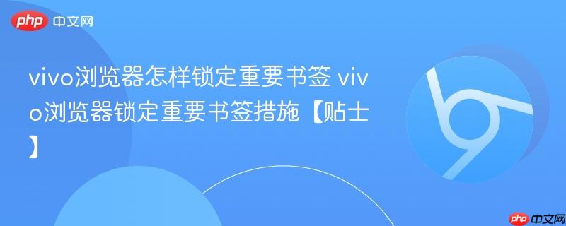 vivo浏览器怎样锁定重要书签 vivo浏览器锁定重要书签措施【贴士】  第1张