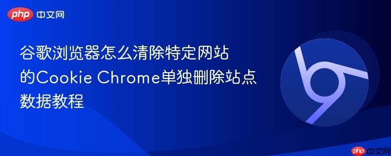 谷歌浏览器怎么清除特定网站的Cookie Chrome单独删除站点数据教程  第1张