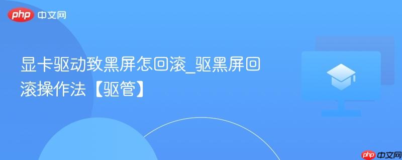 显卡驱动致黑屏怎回滚_驱黑屏回滚操作法【驱管】  第1张