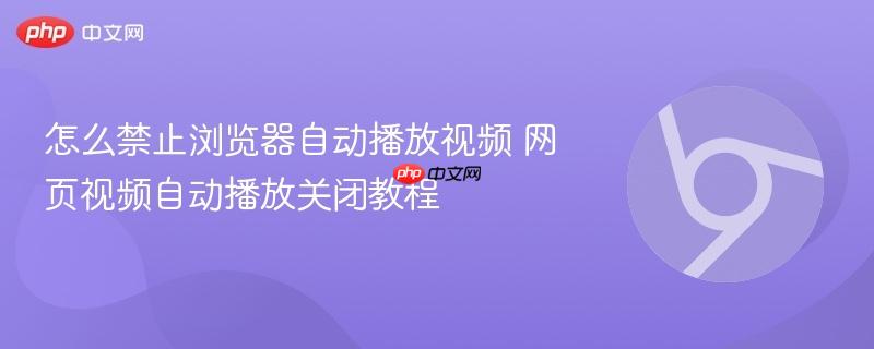 怎么禁止浏览器自动播放视频 网页视频自动播放关闭教程 第1张 怎么禁止浏览器自动播放视频 网页视频自动播放关闭教程 第1张