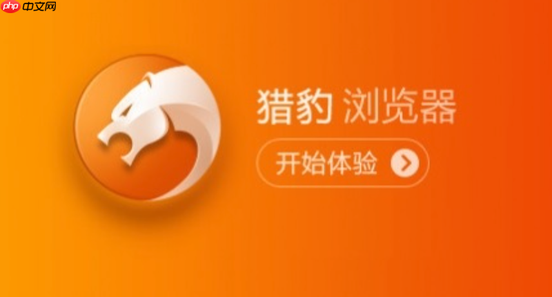 猎豹浏览器官方网站地址 猎豹浏览器网站入口官方通道  第1张