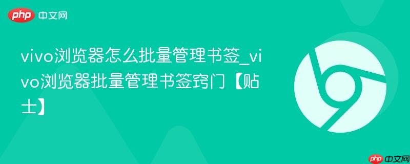 vivo浏览器怎么批量管理书签_vivo浏览器批量管理书签窍门【贴士】 第1张 vivo浏览器怎么批量管理书签_vivo浏览器批量管理书签窍门【贴士】 第1张