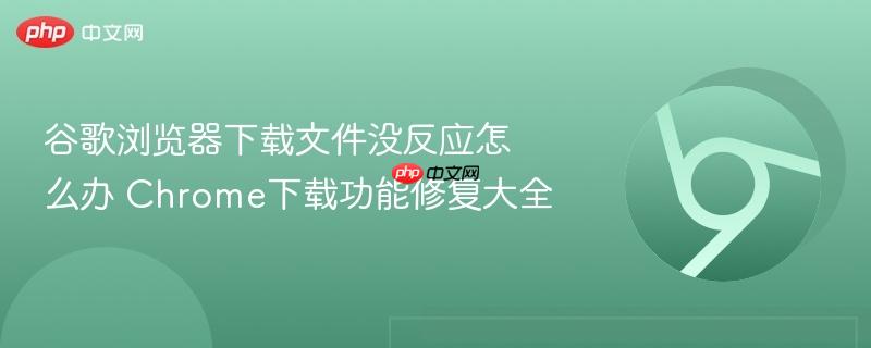 谷歌浏览器下载文件没反应怎么办 Chrome下载功能修复大全 第1张 谷歌浏览器下载文件没反应怎么办 Chrome下载功能修复大全 第1张