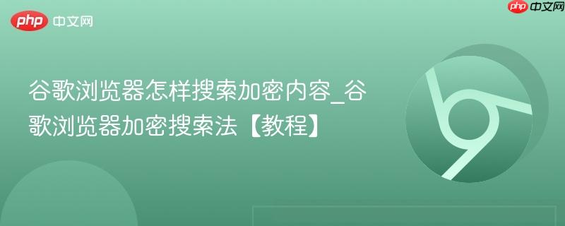 谷歌浏览器怎样搜索加密内容_谷歌浏览器加密搜索法【教程】  第1张