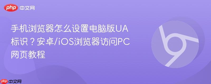 手机浏览器怎么设置电脑版UA标识？安卓/iOS浏览器访问PC网页教程  第1张