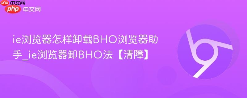 ie浏览器怎样卸载BHO浏览器助手_ie浏览器卸BHO法【清障】  第1张