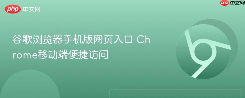 谷歌浏览器手机版网页入口 Chrome移动端便捷访问  第1张